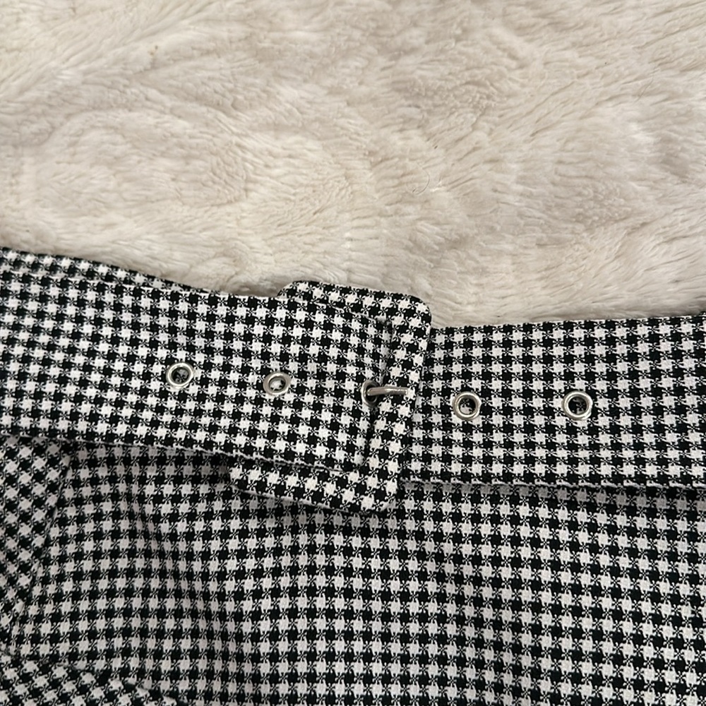 NWT Zara skirt - Picture 2 of 2